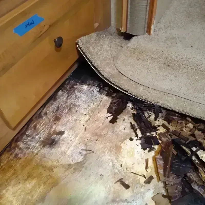 Best Wood Floor Water Damage Service in Mount Dora, FL